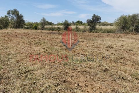 Helårsgrund i Quelfes, Faro, Quelfes - € 160.000 | Ref: 450/2024 - foto 15