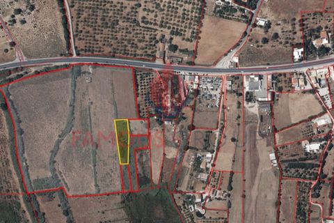 Helårsgrund i Quelfes, Faro, Quelfes - € 160.000 | Ref: 450/2024 - foto 17