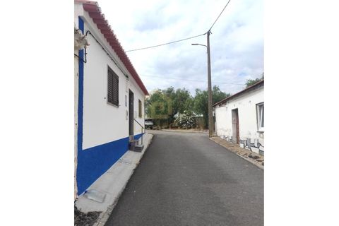 Villa i Albernoa e Trindade, Beja, Albernoa e Trindade - € 44.000 | Ref: 1735 - foto 2