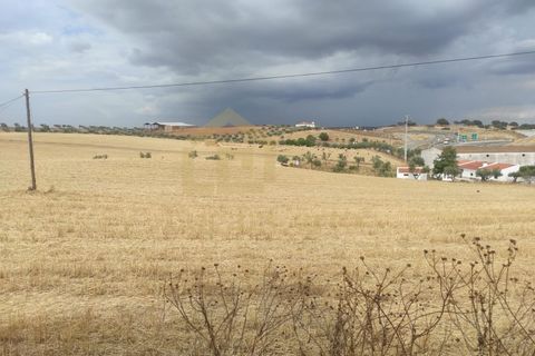 Villa i Albernoa e Trindade, Beja, Albernoa e Trindade - € 44.000 | Ref: 1735 - foto 18