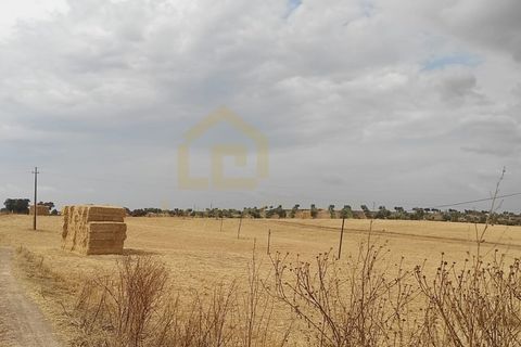 Villa i Albernoa e Trindade, Beja, Albernoa e Trindade - € 44.000 | Ref: 1735 - foto 19