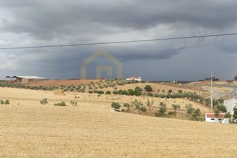 Villa i Albernoa e Trindade, Beja, Albernoa e Trindade - € 44.000 | Ref: 1735 - foto 20