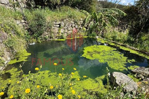 Helårsgrund i Monchique, Faro, Monchique - € 130.000 | Ref: 419/2024 - foto 1