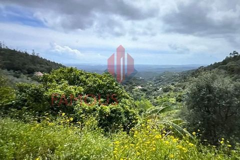 Helårsgrund i Monchique, Faro, Monchique - € 130.000 | Ref: 419/2024 - foto 3