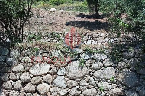 Helårsgrund i Monchique, Faro, Monchique - € 130.000 | Ref: 419/2024 - foto 4