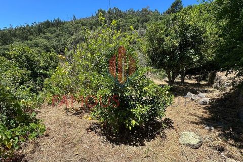 Helårsgrund i Monchique, Faro, Monchique - € 130.000 | Ref: 419/2024 - foto 5