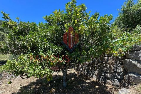 Helårsgrund i Monchique, Faro, Monchique - € 130.000 | Ref: 419/2024 - foto 6