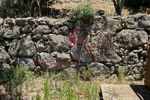 Helårsgrund i Monchique, Faro, Monchique - € 130.000 | Ref: 419/2024 - foto 7