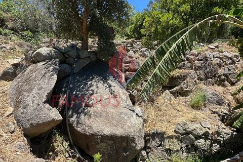 Helårsgrund i Monchique, Faro, Monchique - € 130.000 | Ref: 419/2024 - foto 9