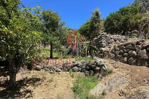 Helårsgrund i Monchique, Faro, Monchique - € 130.000 | Ref: 419/2024 - foto 11