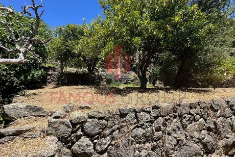 Helårsgrund i Monchique, Faro, Monchique - € 130.000 | Ref: 419/2024 - foto 12