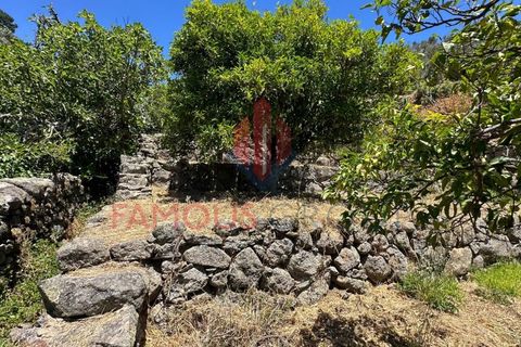 Helårsgrund i Monchique, Faro, Monchique - € 130.000 | Ref: 419/2024 - foto 13