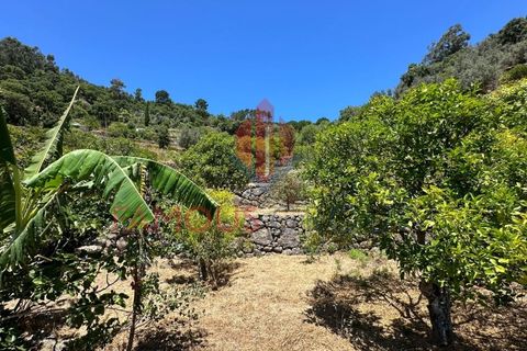 Helårsgrund i Monchique, Faro, Monchique - € 130.000 | Ref: 419/2024 - foto 15