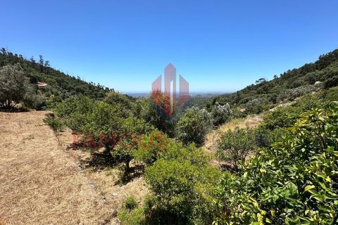 Helårsgrund i Monchique, Faro, Monchique - € 130.000 | Ref: 419/2024 - foto 16
