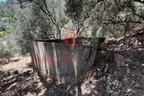 Helårsgrund i Monchique, Faro, Monchique - € 130.000 | Ref: 419/2024 - foto 17