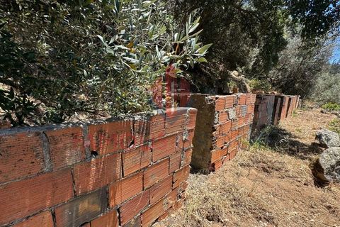 Helårsgrund i Monchique, Faro, Monchique - € 130.000 | Ref: 419/2024 - foto 18