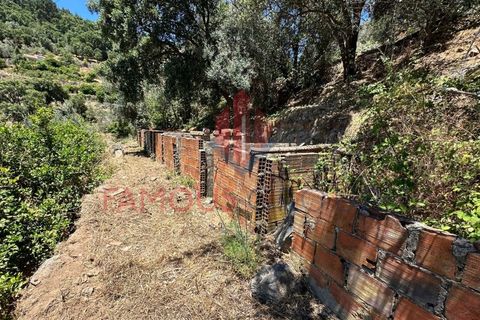 Helårsgrund i Monchique, Faro, Monchique - € 130.000 | Ref: 419/2024 - foto 19