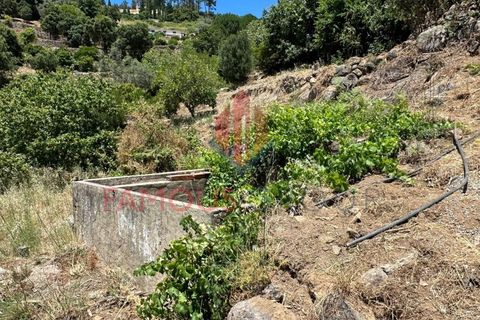 Helårsgrund i Monchique, Faro, Monchique - € 130.000 | Ref: 419/2024 - foto 21