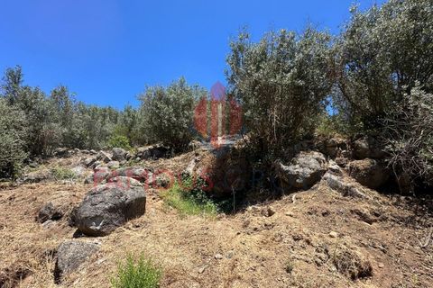 Helårsgrund i Monchique, Faro, Monchique - € 130.000 | Ref: 419/2024 - foto 22