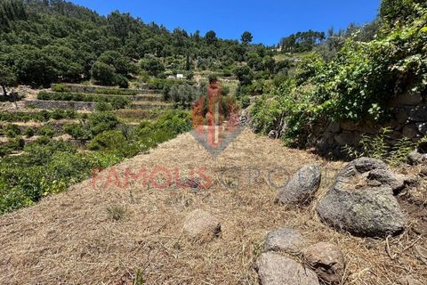 Helårsgrund i Monchique, Faro, Monchique - € 130.000 | Ref: 419/2024 - foto 23