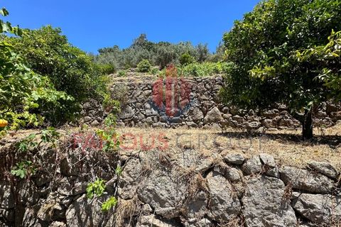 Helårsgrund i Monchique, Faro, Monchique - € 130.000 | Ref: 419/2024 - foto 24
