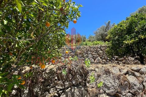 Helårsgrund i Monchique, Faro, Monchique - € 130.000 | Ref: 419/2024 - foto 25