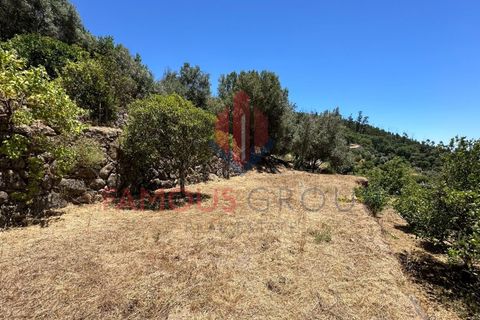 Helårsgrund i Monchique, Faro, Monchique - € 130.000 | Ref: 419/2024 - foto 26