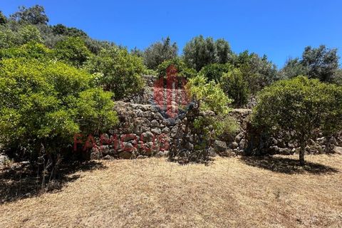 Helårsgrund i Monchique, Faro, Monchique - € 130.000 | Ref: 419/2024 - foto 27