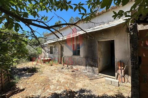 Villa i Monchique, Faro, Monchique - € 260.000 | Ref: 418/2024 - foto 2