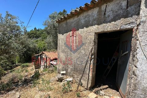 Villa i Monchique, Faro, Monchique - € 260.000 | Ref: 418/2024 - foto 10