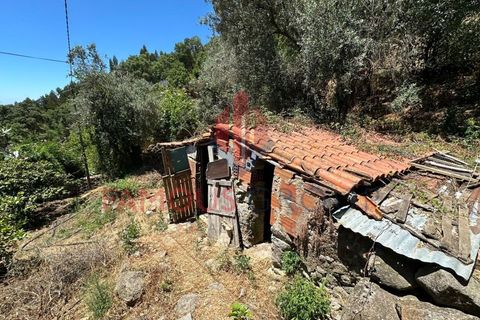 Villa i Monchique, Faro, Monchique - € 260.000 | Ref: 418/2024 - foto 11