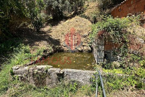 Villa i Monchique, Faro, Monchique - € 260.000 | Ref: 418/2024 - foto 13