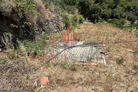 Villa i Monchique, Faro, Monchique - € 260.000 | Ref: 418/2024 - foto 14