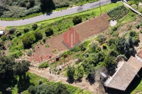Villa i Monchique, Faro, Monchique - € 260.000 | Ref: 418/2024 - foto 15