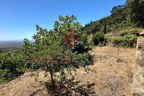 Villa i Monchique, Faro, Monchique - € 260.000 | Ref: 418/2024 - foto 16