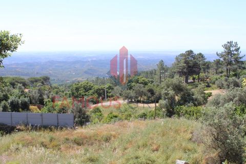Træhytte i Monchique, Faro, Monchique - € 200.000 | Ref: 410/2024 - foto 1