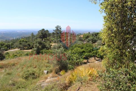 Træhytte i Monchique, Faro, Monchique - € 200.000 | Ref: 410/2024 - foto 3