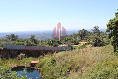 Træhytte i Monchique, Faro, Monchique - € 200.000 | Ref: 410/2024 - foto 6