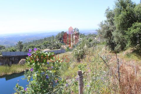 Træhytte i Monchique, Faro, Monchique - € 200.000 | Ref: 410/2024 - foto 8