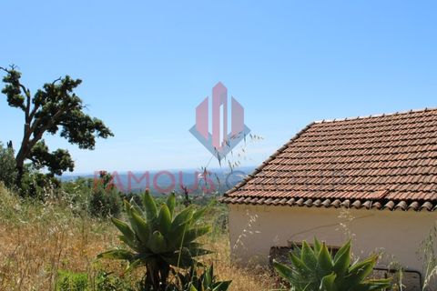 Træhytte i Monchique, Faro, Monchique - € 200.000 | Ref: 410/2024 - foto 17