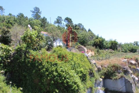 Træhytte i Monchique, Faro, Monchique - € 200.000 | Ref: 410/2024 - foto 21