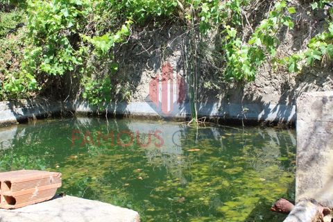 Træhytte i Monchique, Faro, Monchique - € 200.000 | Ref: 410/2024 - foto 22