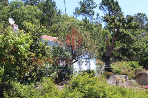 Træhytte i Monchique, Faro, Monchique - € 200.000 | Ref: 410/2024 - foto 24