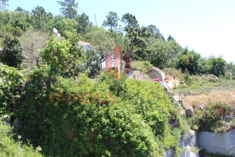 Træhytte i Monchique, Faro, Monchique - € 200.000 | Ref: 410/2024 - foto 26