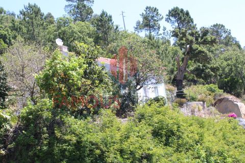 Træhytte i Monchique, Faro, Monchique - € 200.000 | Ref: 410/2024 - foto 27
