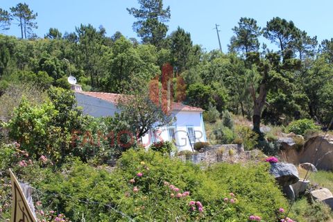 Træhytte i Monchique, Faro, Monchique - € 200.000 | Ref: 410/2024 - foto 29