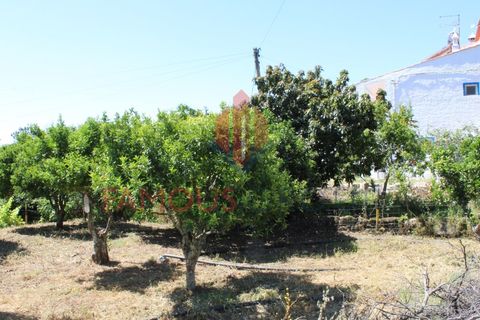 Træhytte i Monchique, Faro, Monchique - € 200.000 | Ref: 410/2024 - foto 32