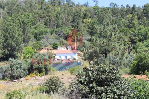 Træhytte i Monchique, Faro, Monchique - € 200.000 | Ref: 410/2024 - foto 33