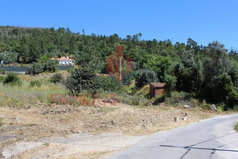 Træhytte i Monchique, Faro, Monchique - € 200.000 | Ref: 410/2024 - foto 35