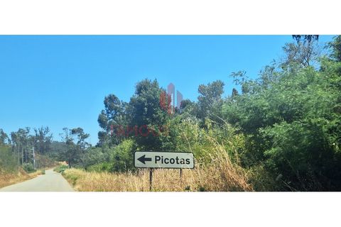 Terra a Marmelete, Faro, Marmelete - € 9.500 | Ref: 411/2024 - foto 7